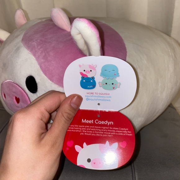 Caedyn squishmallow - Picture 3 of 3